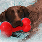 Pet Life Bone Shaped Durable Chew And Fetch Teether Dog Toy
