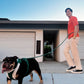Kismet Dog Leash