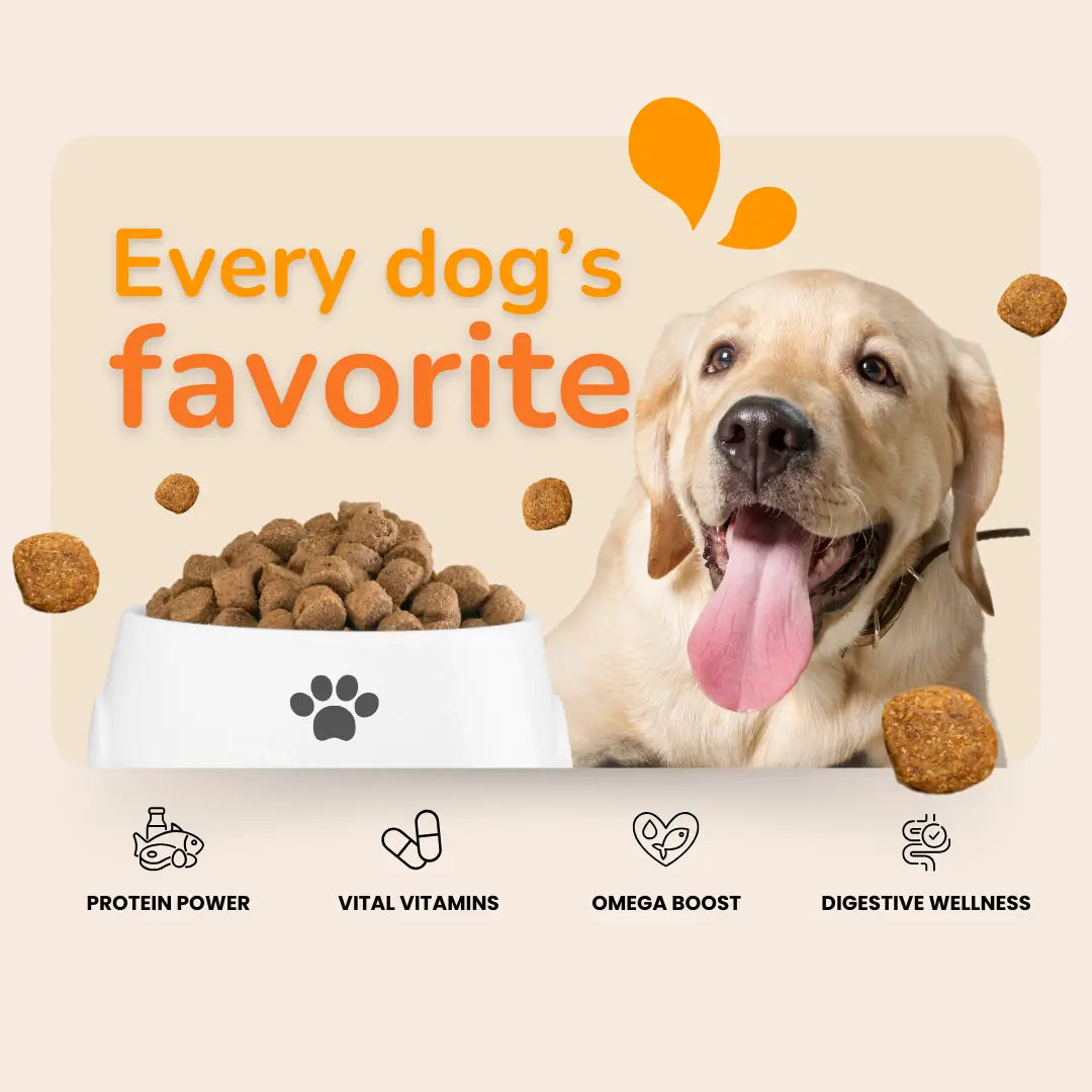 Dog Food & Treats