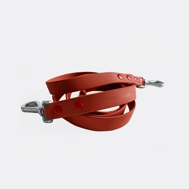 Leash