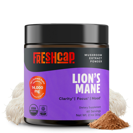 Lion's Mane Mushroom Extract Powder