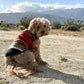 Pendleton National Park Dog Vest