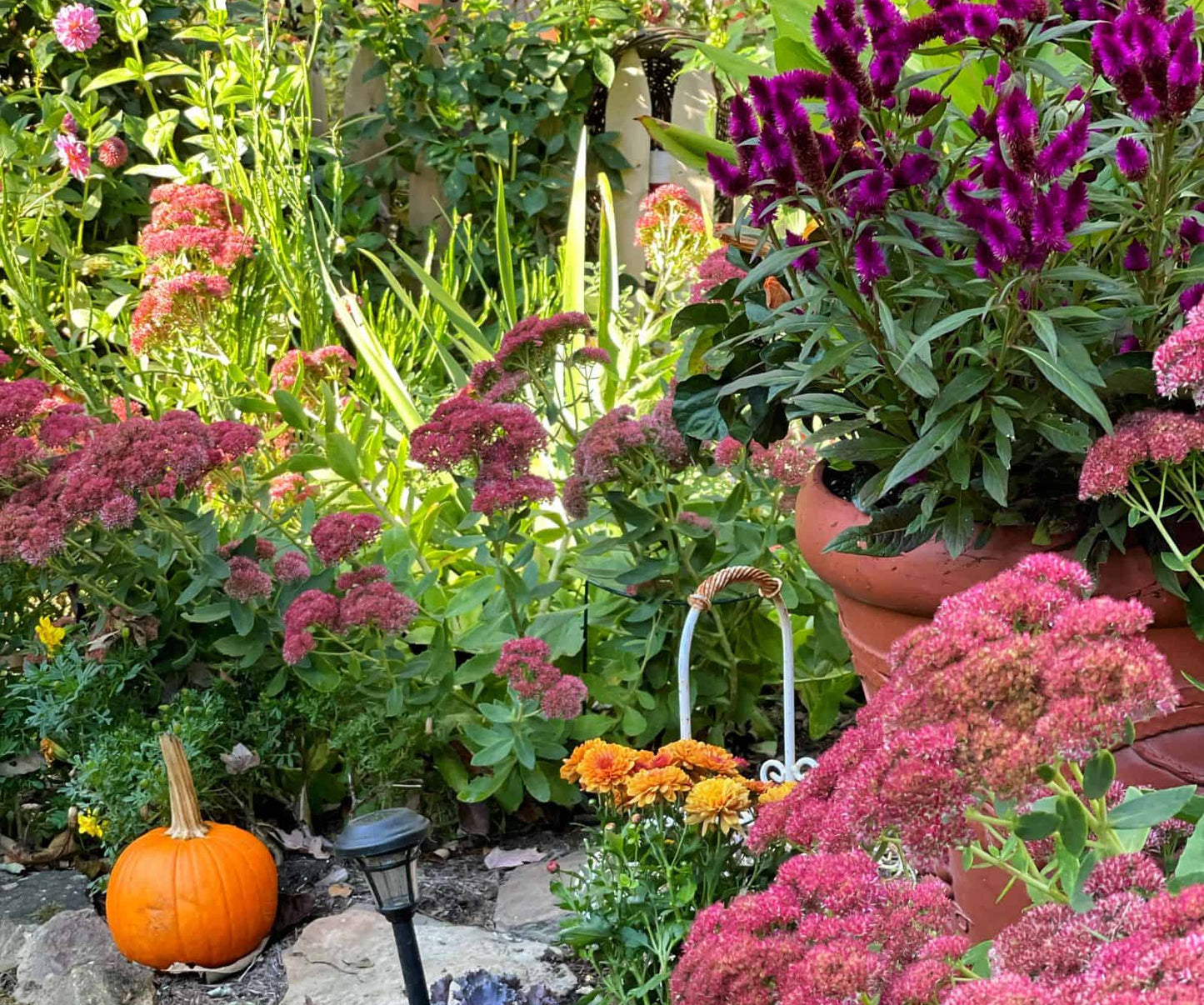 Dương Mạnh Tuấn Title