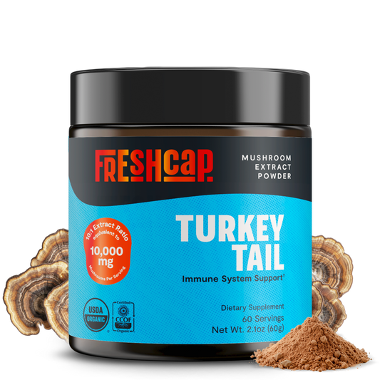 Turkey Tail Mushroom Extract Powder