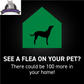 Protect Your Dog from Fleas & Ticks with NEXTSTAR: Fast-Acting 3-Month Supply for Dogs 45-88 Lbs