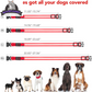 Brighten up your pup's night walks with our adjustable LED Dog Collar! 🌟 USB rechargeable & super safe! 🐾❤️