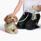 Harness