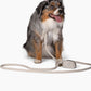Harness