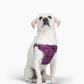 Step In Dog Harness
